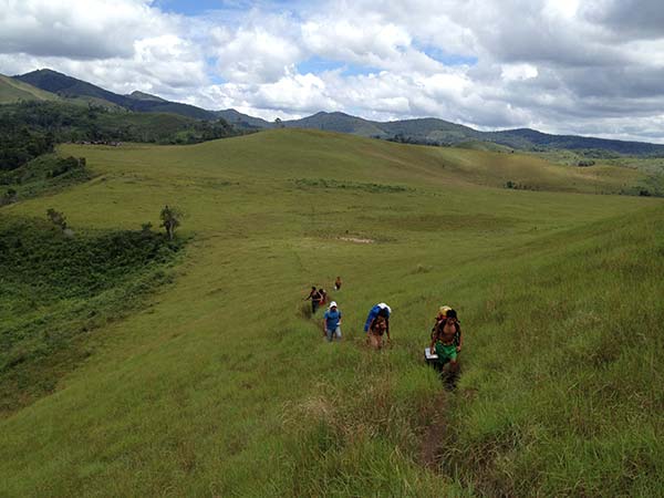 Wideshot of health workers hiking through plush greenery on a hillside in the Amazon Rainforest